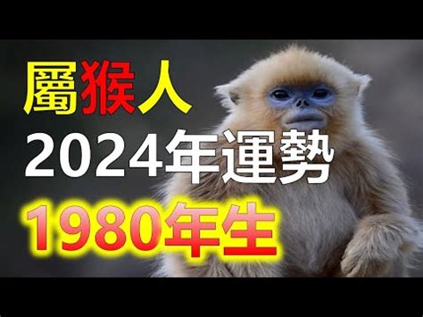 屬猴的五行|【生肖猴五行命運】生肖屬猴五行屬性的人性格命運 